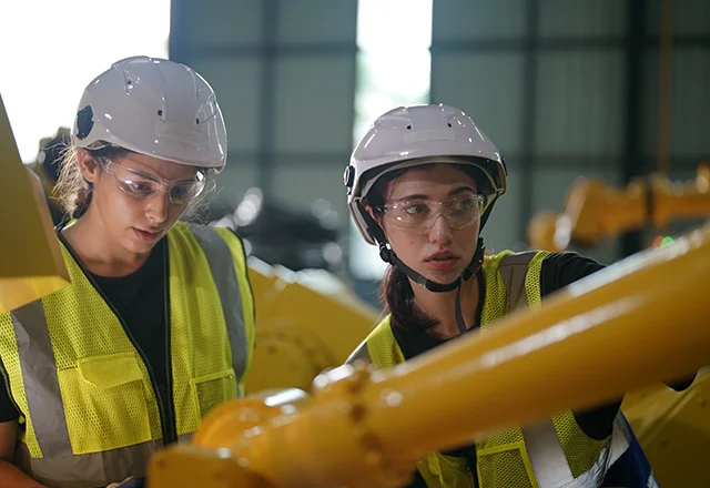 Telebeler ve Baslangic Seviyye Mutexessisleri