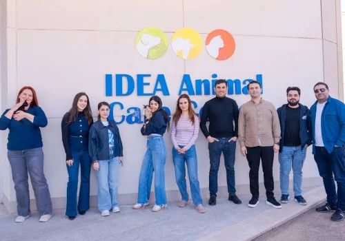 PMD Projects komandası &Uuml;mumd&uuml;nya Sahibsiz Heyvanlar G&uuml;n&uuml; ilə bağlı İDEA Heyvanlar Sığınacağını ziyarət etdi