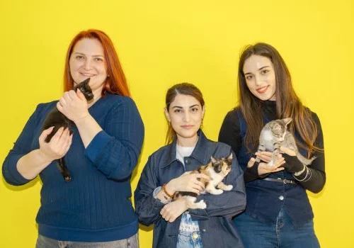 PMD Projects komandası &Uuml;mumd&uuml;nya Sahibsiz Heyvanlar G&uuml;n&uuml; ilə bağlı İDEA Heyvanlar Sığınacağını ziyarət etdi