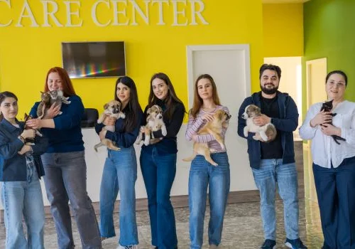 PMD Projects komandası &Uuml;mumd&uuml;nya Sahibsiz Heyvanlar G&uuml;n&uuml; ilə bağlı İDEA Heyvanlar Sığınacağını ziyarət etdi