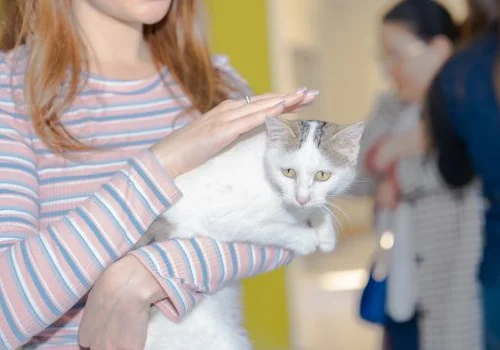 PMD Projects komandası &Uuml;mumd&uuml;nya Sahibsiz Heyvanlar G&uuml;n&uuml; ilə bağlı İDEA Heyvanlar Sığınacağını ziyarət etdi