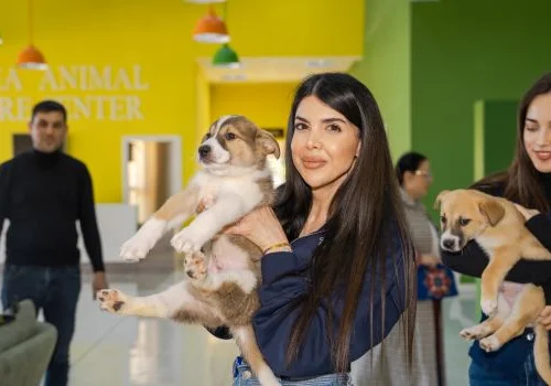 PMD Projects komandası &Uuml;mumd&uuml;nya Sahibsiz Heyvanlar G&uuml;n&uuml; ilə bağlı İDEA Heyvanlar Sığınacağını ziyarət etdi